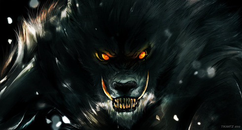 Werewolf - illustration by ibroid
