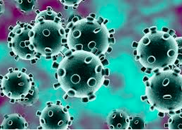 Microscopic image of Coronavirus