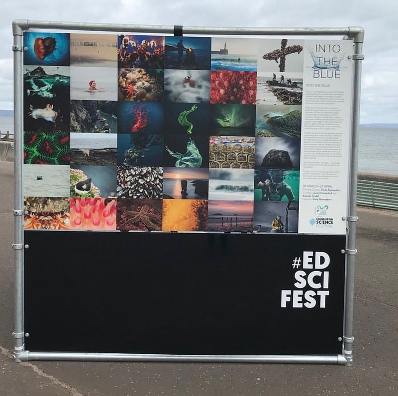 Photo of Ed Sci Fest 2020 poster on Porty Prom: Into the Blue