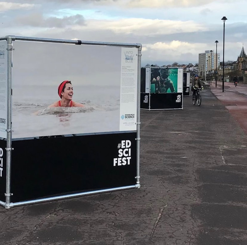 Photo of Ed Sci Fest 2020 poster on Porty Prom: wildsmimming