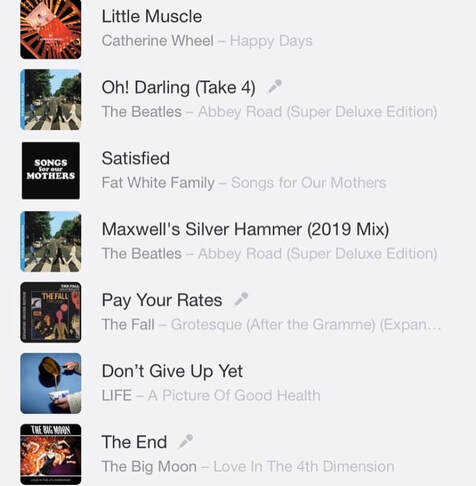 Screenshot of playlist for Mental health walks #1: Ed Sci Fest, exercise and music, by Mark Fleming