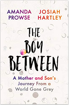 Cover of Amanda Prowse's latest title, The Boy Between